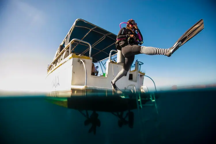 ボート・ダイバー・スペシャルティ・コース