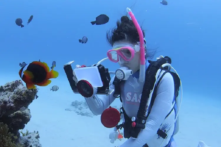 水中フォトグラファー・スペシャルティ・コース
