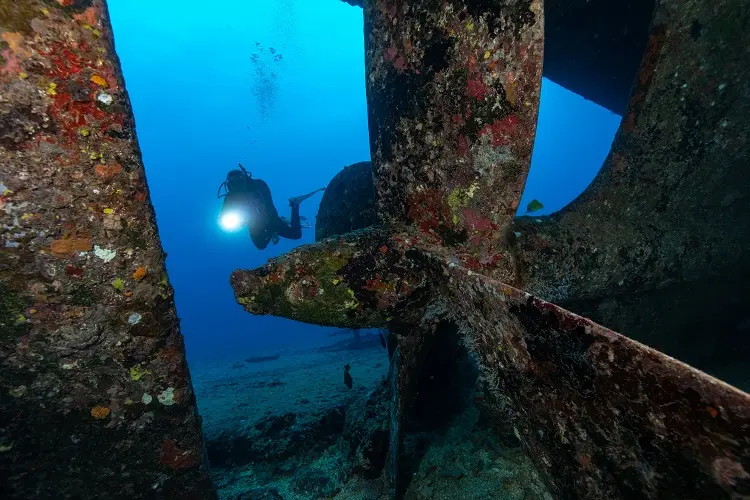  レック・ダイバー・スペシャルティ・コース