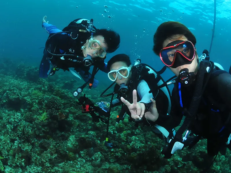 体験ダイビング（DSD）イメージ