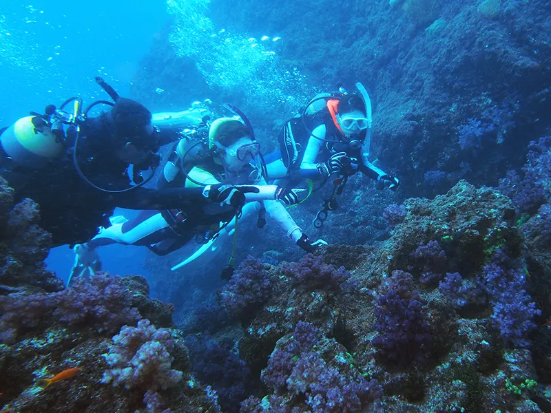 ファンダイビング