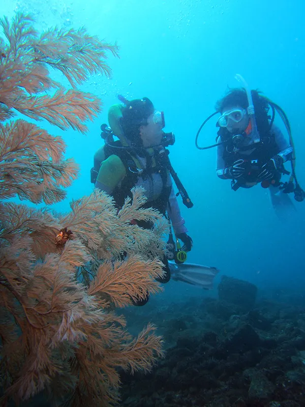 ダイブマスターイメージ