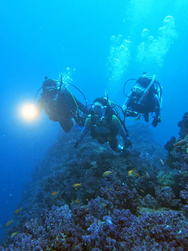 ダイビング風景